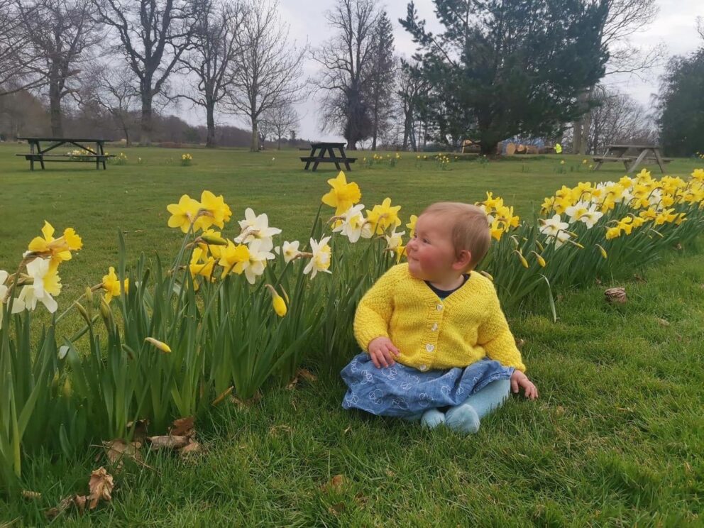 A blonde toddler in a yellow homknit cardigan and a blue skirt and tights sits in among a swathe of yellow daffodils and yellow and orange narcissus. The grass is bright green and on the horizon are mature trees still without leaves and a dark green evergreen.