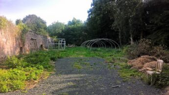 An overgrown tarmac road leads alongside a red stone wall towards the skeletons of an aluminium greenhouse and a poly tunnel. The space is very overgrown and there are piles of organic rubbish piled to the left in front of a stand of mature trees.