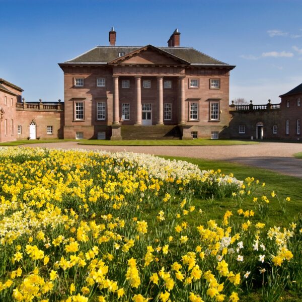 Paxton House in the spring with bright yellow daffodils in the foreground