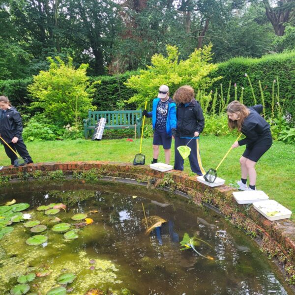 Pond dipping at Paxton House on a school trip